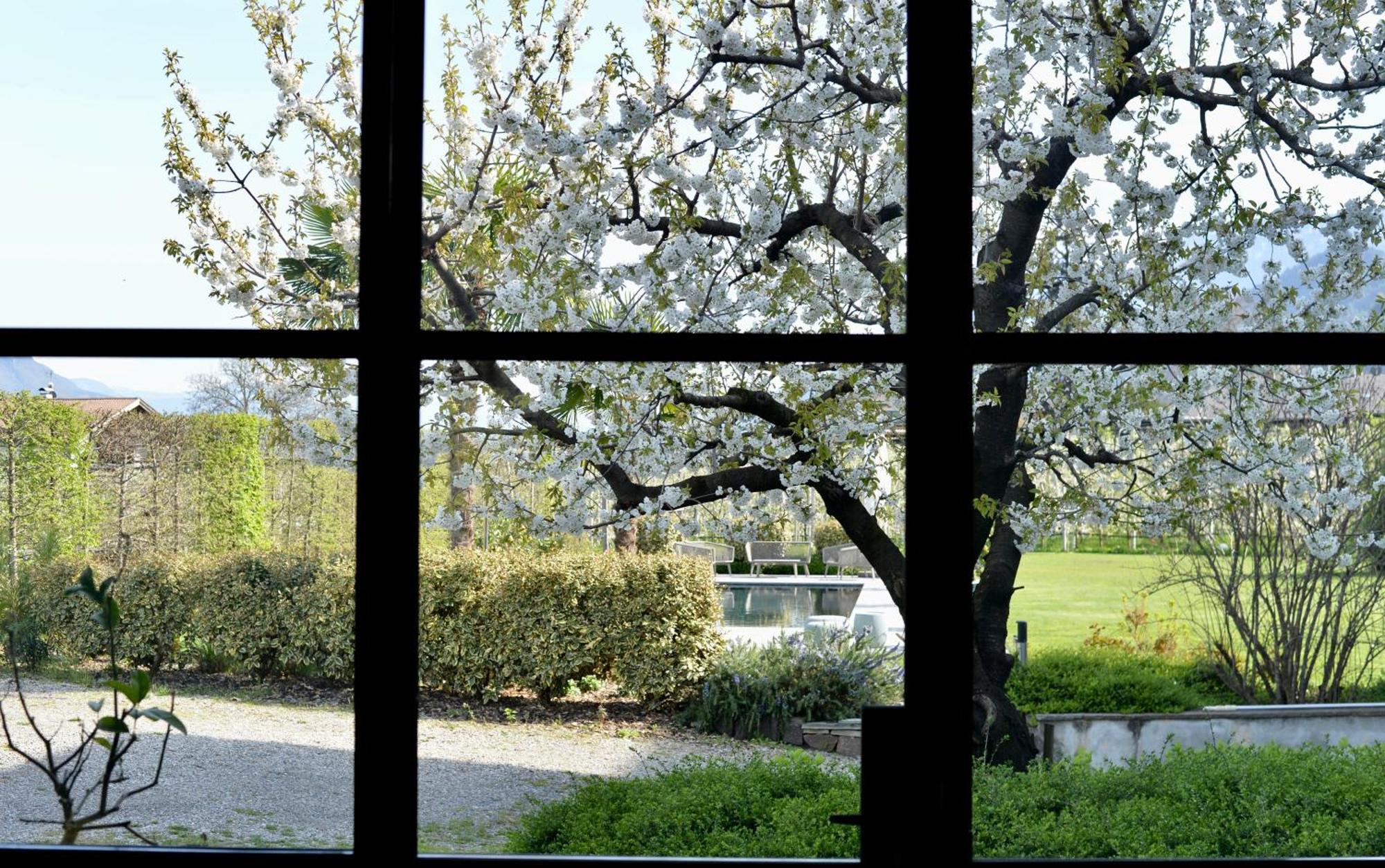 Haus Wiesenstein Lana Dış mekan fotoğraf