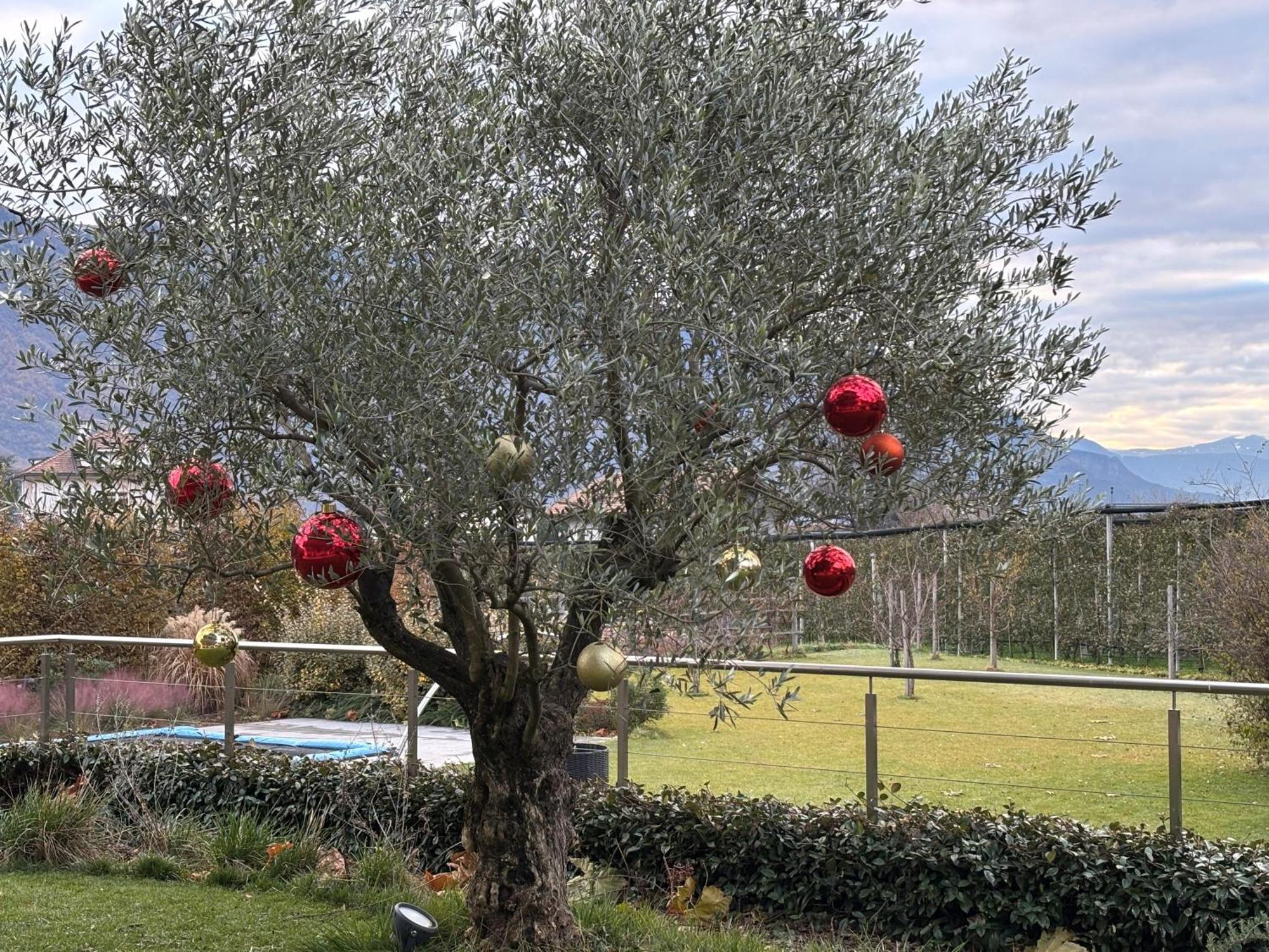 Haus Wiesenstein Lana Dış mekan fotoğraf